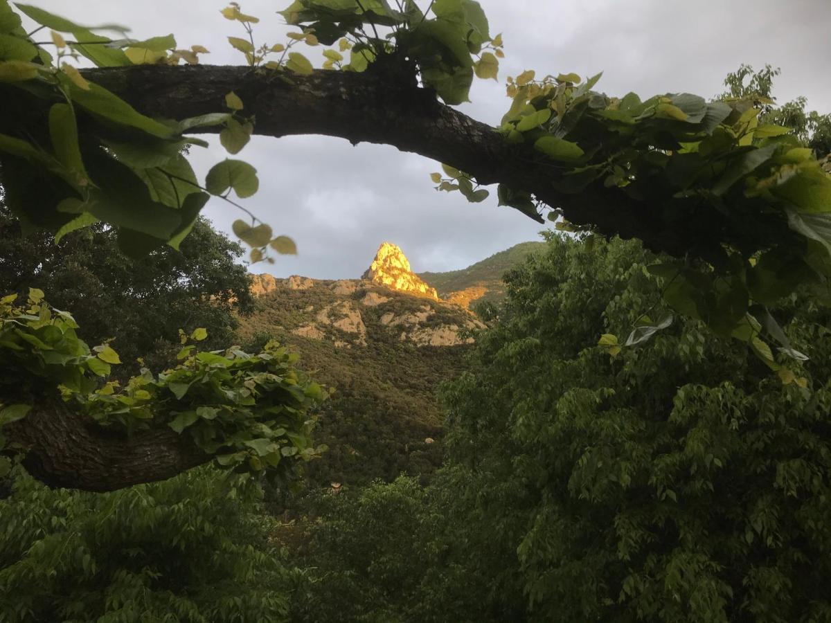 L'Abri La Vall Sorède Exterior foto